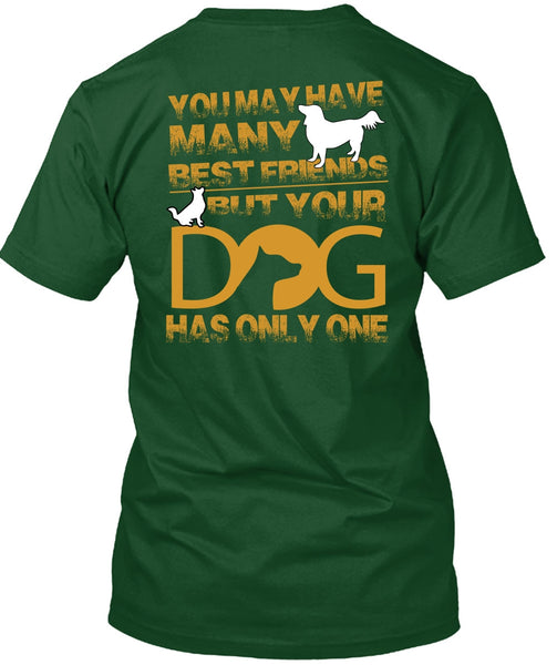 Your Dog Has Only One T Shirt, You May Have Many Best Friend T Shirt