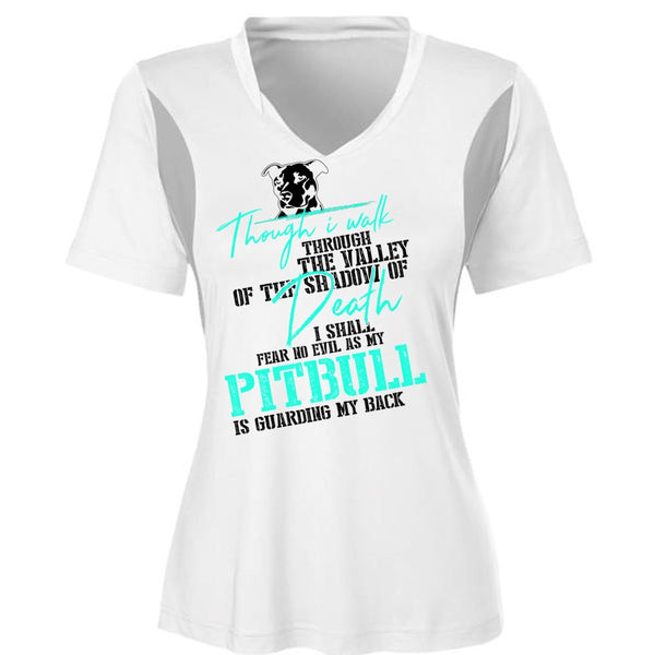 My Pit Bull Is Guarding My Back T Shirt, I Love Dog T Shirt, Awesome T-Shirts