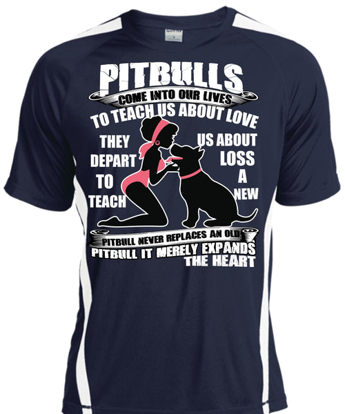 Pit Bulls Come Into Our Lives T Shirt, My Favorite T Shirt, Cool Shirt