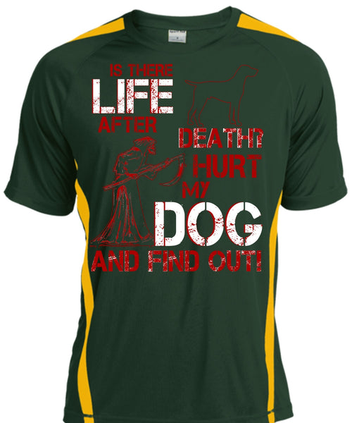 Hurt My Dog And Find Out T Shirt, Is There After Death T Shirt, Cool Shirt