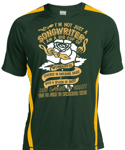 I'm Not Just A Songwriter T Shirt, Being A Writer T Shirt, Cool Shirt
