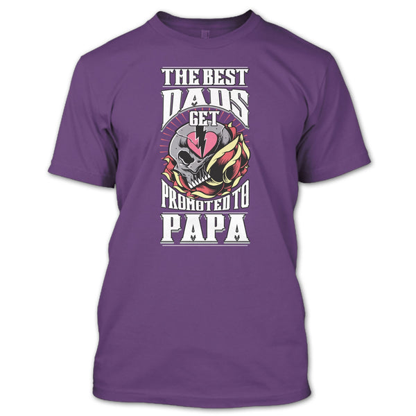 The Best Dad T Shirt, Get Promoted To Papa T Shirt