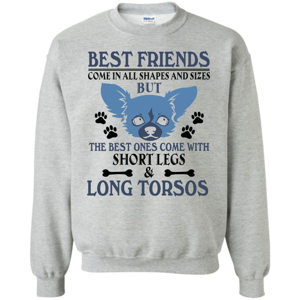 Coolest Dog T Shirt, Best Friends Come In All Shapes And Size Sweatshirt