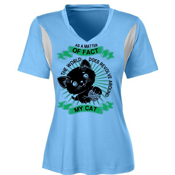 The World Does Revolve Around My Cat T Shirt, I Love My Dog T Shirt, Awesome T-Shirts