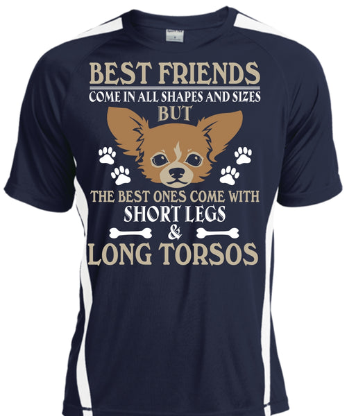 Best Friends Come In All Shapes And Sizes T Shirt, My Dog T Shirt