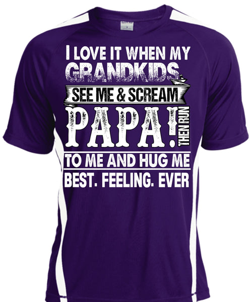 Grandkids See Me And Scream Papa T Shirt, Being A Papa T Shirt, Cool Shirt