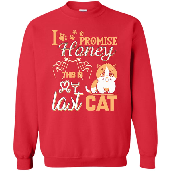 This Is My Last Cat T Shirt, Coolest Cat Lover Sweatshirt