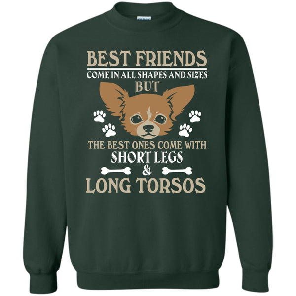 The Best One Come With Short Legs & Long Torsos T Shirt, Coolest Dog Sweatshirt