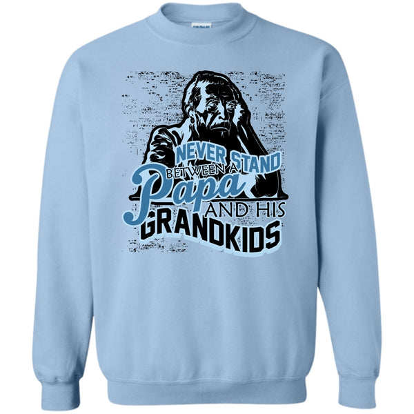 Gift For Papa T Shirt, Never Stand Between Sweatshirt