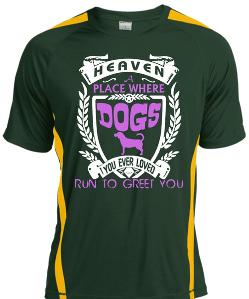 Heaven A Place Where Dogs T Shirt, You Ever Loved Run To Greet You T Shirt