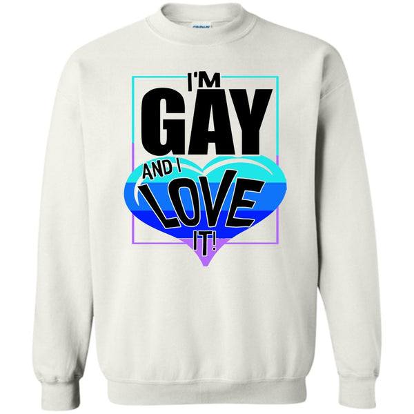 Gift For Gay T Shirt, I'm Gay And I Love It Sweatshirt