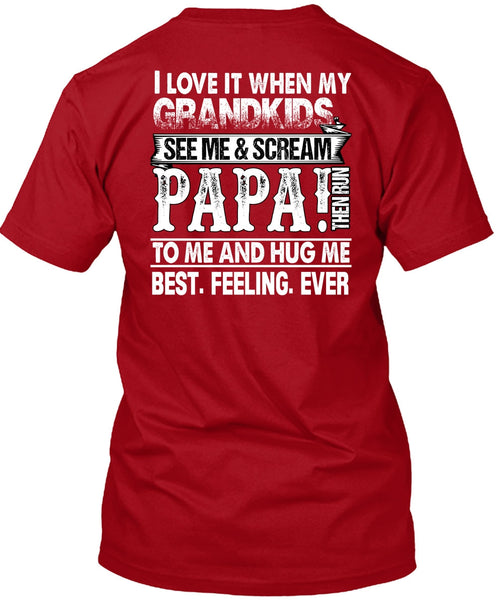 Grandkids See Me And Scream Papa T Shirt, Being A Papa T Shirt