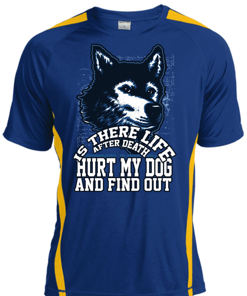 Hurt My Dog T Shirt, My Favorite T Shirt, Cool Shirt
