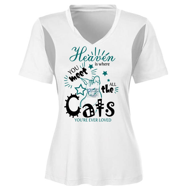 Heaven Is Where You Meet All The Cats T Shirt, I Love My Cat T Shirt, Awesome T-Shirts