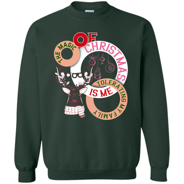 Tolerating My Family T Shirt, Coolest Merry Christmas Sweatshirt