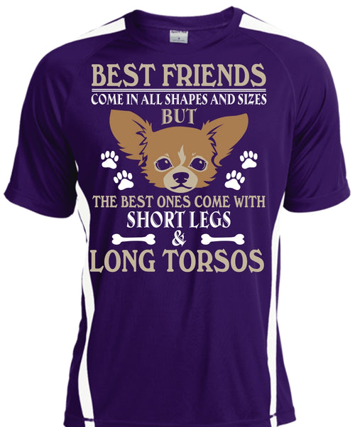 Best Friends Come In All Shapes And Sizes T Shirt, My Dog T Shirt