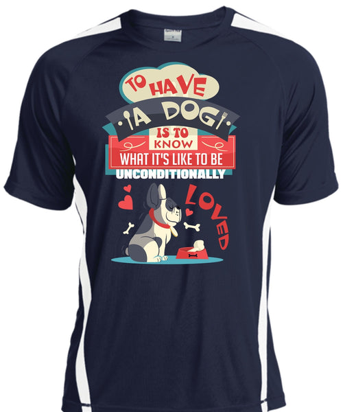 To Have A Dog Is To Know T Shirt, My Favorite T Shirt, Cool Shirt