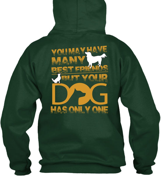 Your Dog Has Only One T Shirt, You May Have Many Best Friend T Shirt