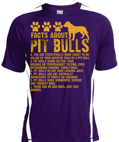 Facts About Pit Bulls T Shirt, There Are No Bad Dogs T Shirt, Cool Shirt