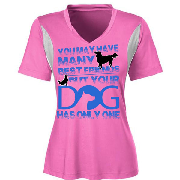 Your Dog Has Only One T Shirt, I Love My Dog T Shirt, Awesome T-Shirts