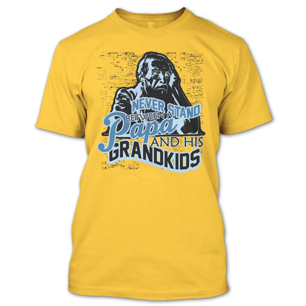 Never Stand Between T Shirt, Gift For Papa T Shirt