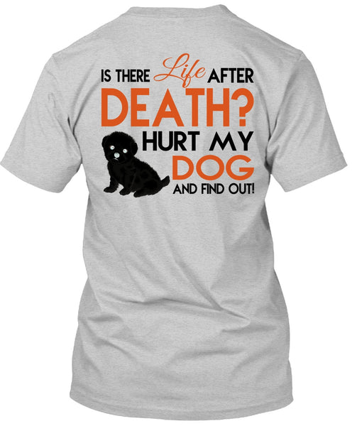 Hurt My Dog And Find Out T Shirt, Favorite T Shirt