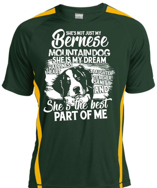 My Bernese Mountain Dog T Shirt, She Is My Dream T Shirt, Cool Shirt