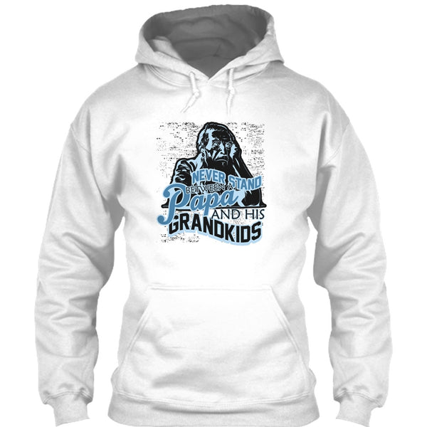 Never Stand Between T Shirt, Gift For Papa T Shirt