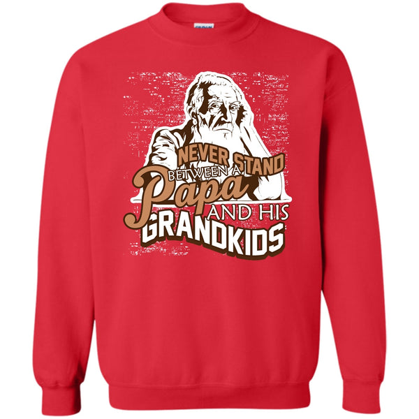 A Papa And A His Grandkids T Shirt, Gift For Papa Sweatshirt