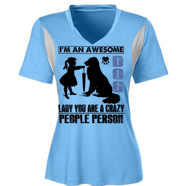 I'm An Awesome Dog Lady T Shirt, I Love My Dog T Shirt, Awesome T-Shirts
