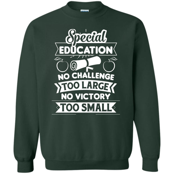 Special Education No Victory Too Small T Shirt, Teacher's Day T Shirt Sweatshirt