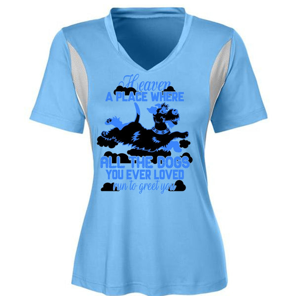 Heaven A Place Where All The Dogs T Shirt, I Love My Dog T Shirt, Awesome T-Shirts