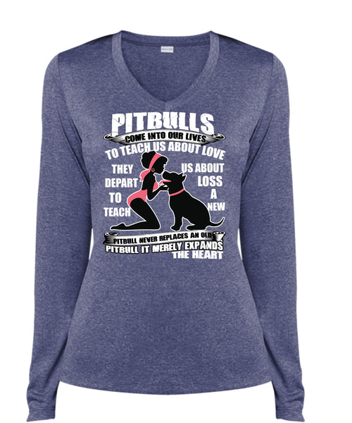 Pit Bulls Come Into Our Lives T Shirt, My Favorite T Shirt