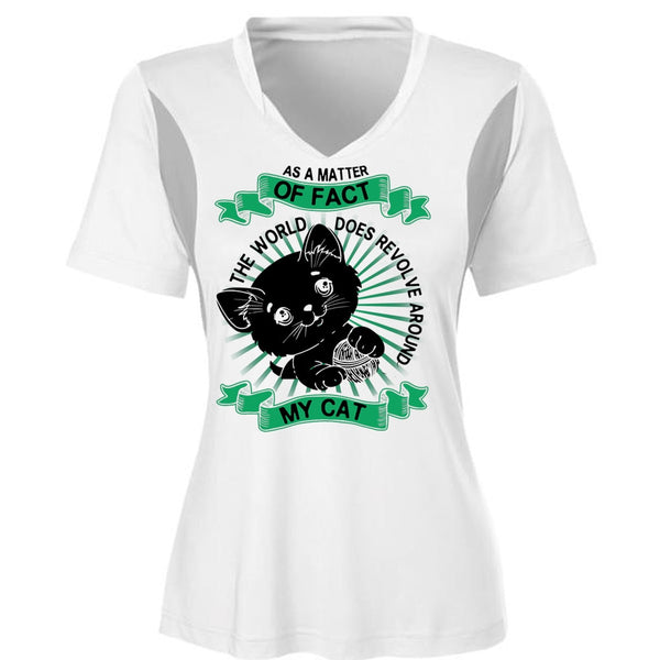 The World Does Revolve Around My Cat T Shirt, I Love My Dog T Shirt, Awesome T-Shirts