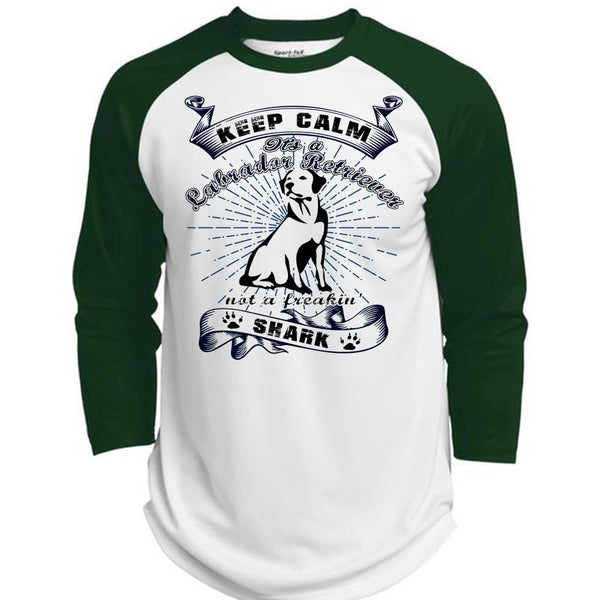 It's A Labrador Retriever T Shirt, I Love My Dog T Shirt, Awesome T-Shirts  (Polyester Game Baseball Jersey)
