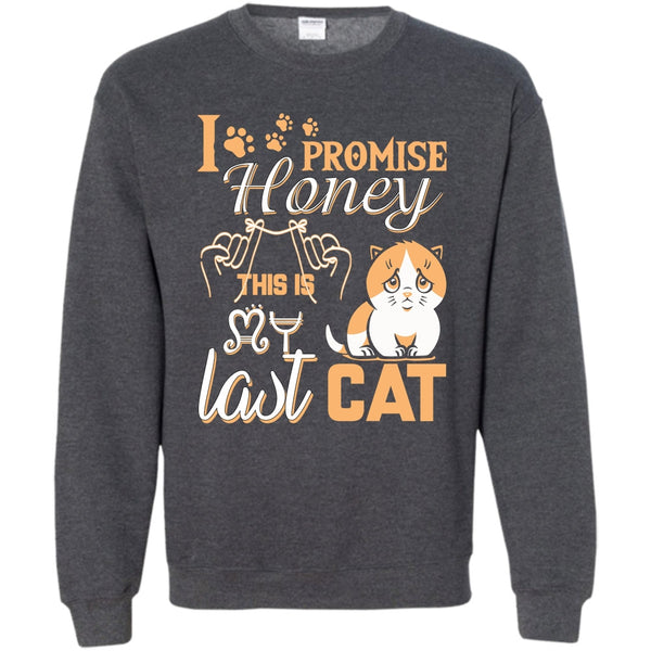 This Is My Last Cat T Shirt, Coolest Cat Lover Sweatshirt