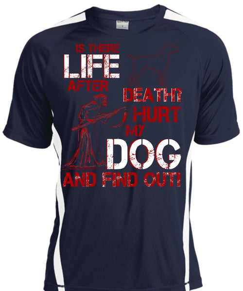 Hurt My Dog And Find Out T Shirt, Is There After Death T Shirt, Cool Shirt