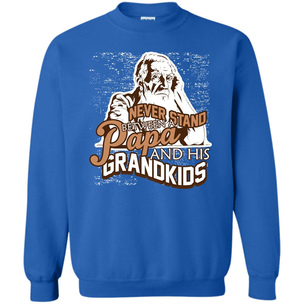 A Papa And A His Grandkids T Shirt, Gift For Papa Sweatshirt
