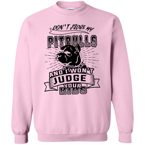 Coolest Dog Lover T Shirt, Don't Judge My Pit Bull Sweatshirt