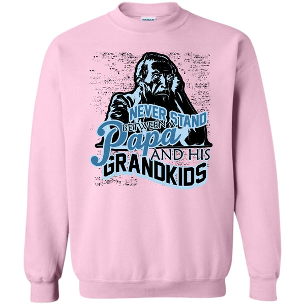 Gift For Papa T Shirt, Never Stand Between Sweatshirt