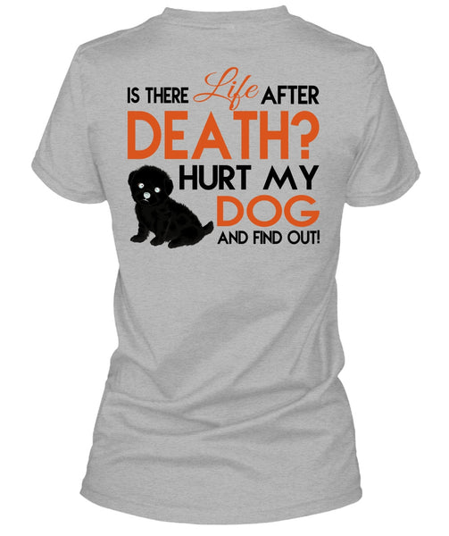 Hurt My Dog And Find Out T Shirt, Favorite T Shirt