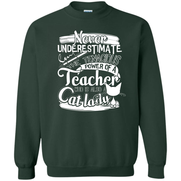 Power Of A Teacher T Shirt, Who Is Also A Cat Lady Sweatshirt