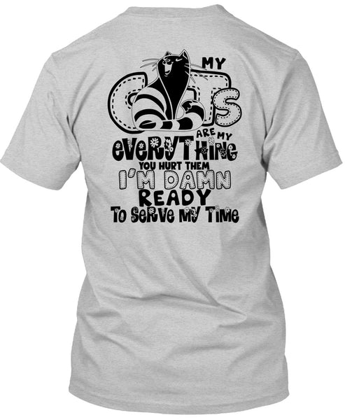 My Cats Are My Everything T Shirt, I Love My Cat T Shirt