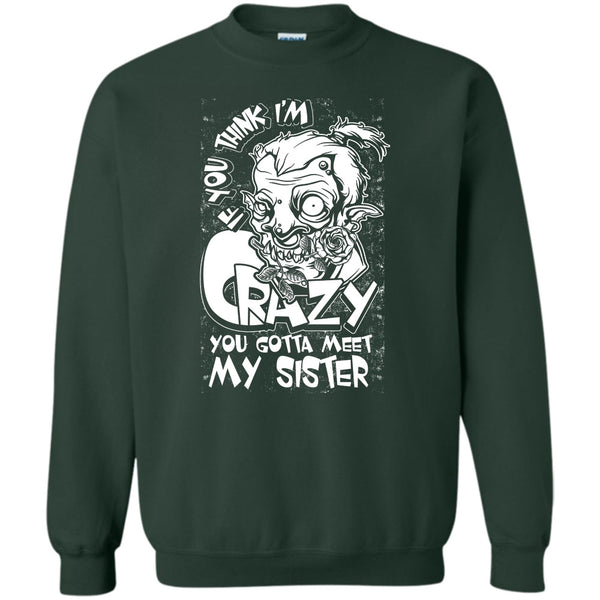 You Gotta Meet My Sister T Shirt, Coolest Sister Sweatshirt