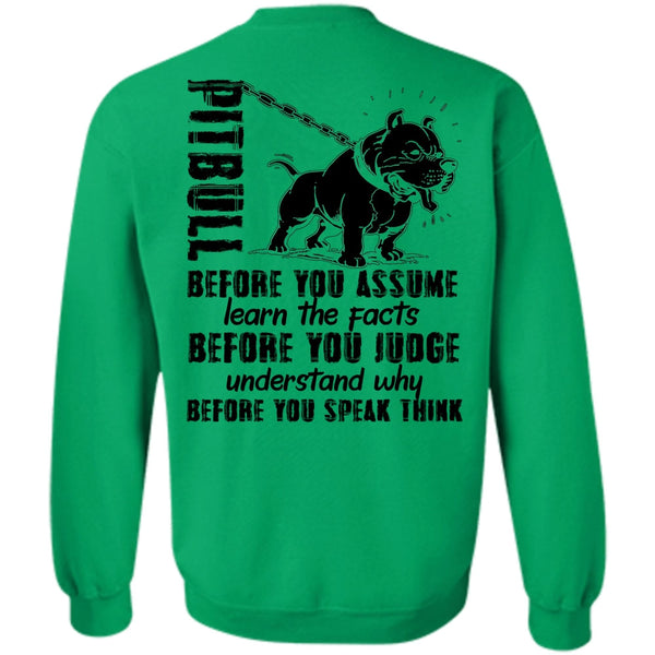 I Love Pit Bull T Shirt, Pit Bull Before You Assume Sweatshirt