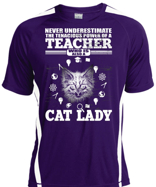 Power Of A Teacher T Shirt, Cat Lady T Shirt, Cool Shirt