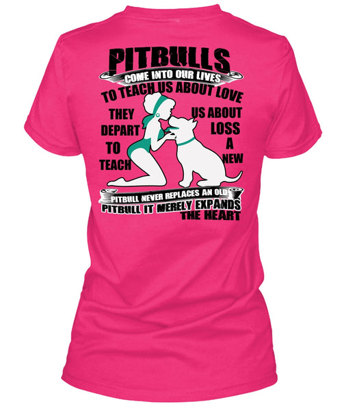Pit Bulls Come Into Our Lives T Shirt, My Favorite T Shirt, Cool Shirt (Ladies LS Heather V-Neck)