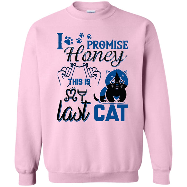Coolest Cat Lover T Shirt, I Promise Honey Sweatshirt