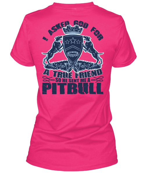 He Sent Me A Pit Bull T Shirt, God For A True Friend T Shirt, Cool Shirt (Ladies LS Heather V-Neck)