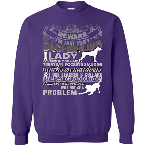 Coolest Dachshund Lady T Shirt, I Am A Dog Lover Sweatshirt